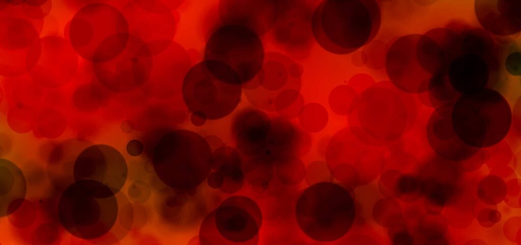 Omega 3 - Blut