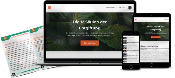12 Säulen der Entgiftung